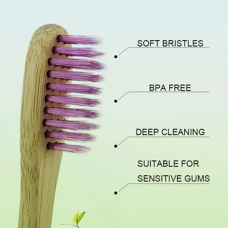 Adult Bamboo Toothbrush 10-Pack – Charcoal, BPA-Free - Image 3
